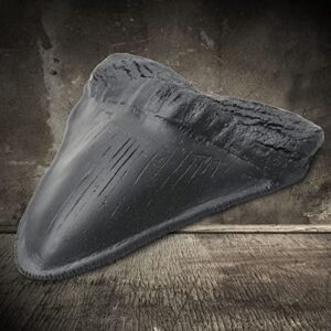 Megalodon Shark Tooth Fossil Giant Shark Tooth Megalodon Tooth Replica (Black)