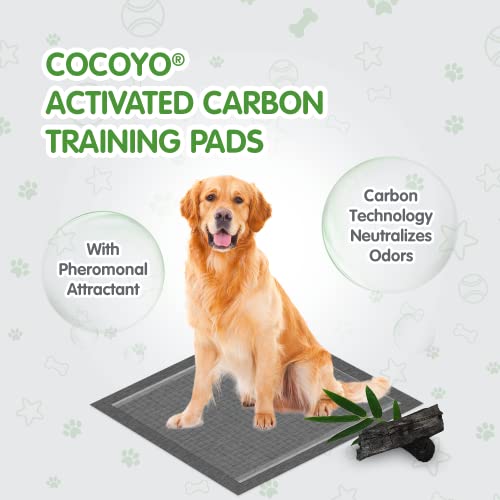 COCOYO Dog Training Pads 丨 Carbon Absorb Eliminating Urine Odor Doggie Training Pads 丨 Premium Charcoal Dog Pee Pads (100 Count, 22x22 inch),Gray