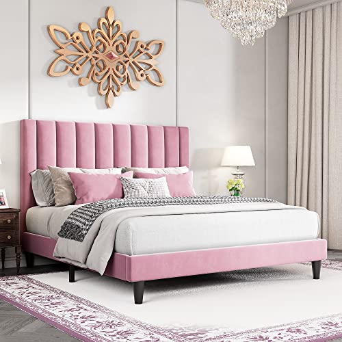 HOOMIC Queen Size Platform Bed Frame with Velvet Upholstered Plush Vertical Channel Headboard, No Box Spring Needed, Easy Assembly,Pink