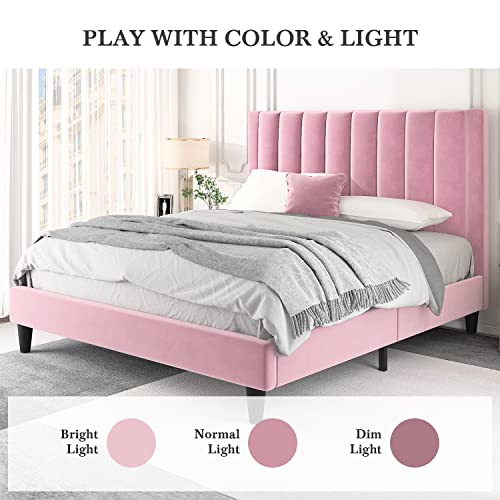 HOOMIC Queen Size Platform Bed Frame with Velvet Upholstered Plush Vertical Channel Headboard, No Box Spring Needed, Easy Assembly,Pink