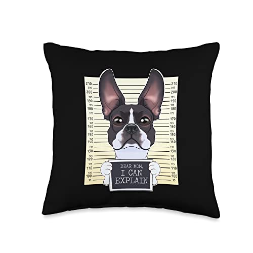 Boston Terrier Gifts For Women & Mothers Day Gifts Dear Can Explain Mom I Boston Terrier Throw Pillow, 16x16, Multicolor