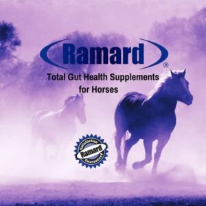 Ramard Total Lactic Care for Aging Horses, Supports Joint Function, Energy & Stamina Horse Supplies, Vitamin & Supplements w/ Branch Chain Amino Acids, 25g Pouch, 5-Pack