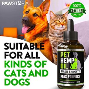 (2 Pack) Hemp Oil for Dogs and Cats - Helps Pets with Anxiety, Pain, Stress, Sleep, Arthritis, Seizures Relief - Cat Anxiety Relief - Omega 3-6-9 - Pet Hemp Oil Drops Treats - Hip and Joint Support