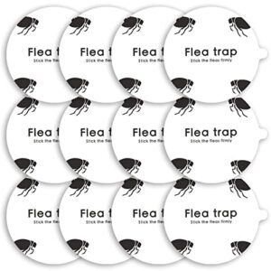 gotcha! 12 pack flea trap refill discs | sticky traps glue board refills | non-toxic | 7.1 inch | eco-friendly | family and pet safe | fits ultimate flea trap aspectek qremove victor