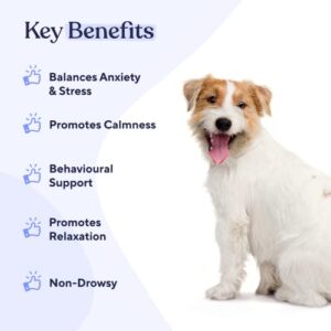 Pawfy dogs Calming Soft Chews | Anxiety | Separation | Stress Relief | Travel | Behavioral Training | Fireworks & Other Stressful Events | with L-Tryptophan & Chamomile