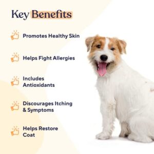 Pawfy dogs Skin & Coat Soft Chews | Allergies | Itching | Licking | Paw Biting | Scratching & More