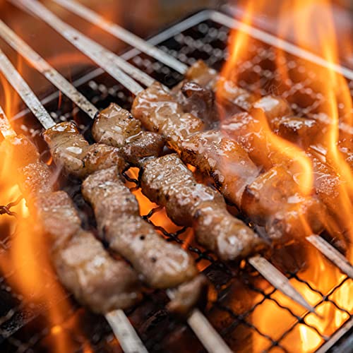 DEFUTAY 10 PCS Kebab Barbecue Skewers, Flat Metal BBQ Skewer,Reusable Grilling Skewers Set for Meat, Shrimp, Chicken, Vegetable