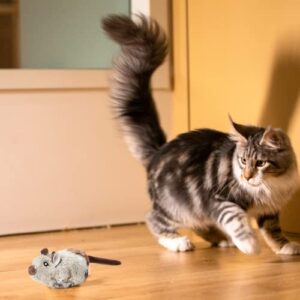 Cat Toys 2 PCS Interactive for Indoor Cats Automatic Squeaking Mouse and Feather Bird Melody Sound Chaser Set Lifelike Plush Electronic Kitty Toy (Grey)