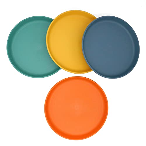 Muulaii Plastic Plates Reusable 6 Inch Unbreakable Deep Dessert Dinner Plates BPA free and Eco-Friendly Dishwasher and Microwave Safe Round Dinnerware Plates - Pack of 4