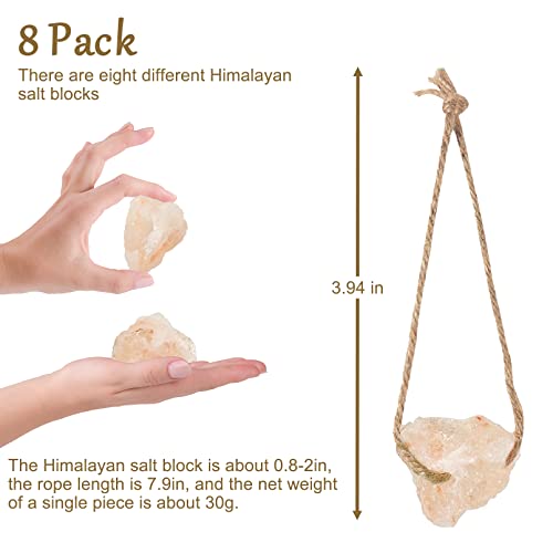 Himalayan Small Pets Lick Salt Block on Rope Natural Small Animal Mineral Salt Block Chew Toys with Hanging Rope Rabbit Mineral Salt Chew Treat Supplies for Bunny Chinchilla Hamster Ferret (8PCS)