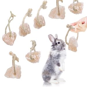 himalayan small pets lick salt block on rope natural small animal mineral salt block chew toys with hanging rope rabbit mineral salt chew treat supplies for bunny chinchilla hamster ferret (8pcs)