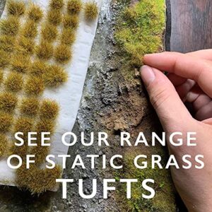 WWS War World Scenics WWScenics | 2mm Summer Static Grass |30g | WSG2-011 | Realistic Model Scenery Material