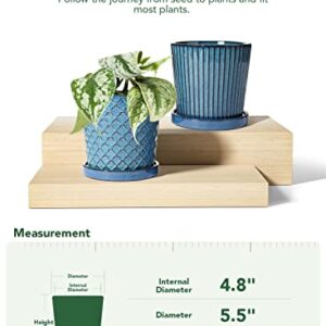 LE TAUCI Plant Pots, 5.5 Inch Pots for Indoor Plants, Planters with Drainage Hole and Saucer for Home or Office, Flower Pots for Succulent, Snake Plants and Cactus, Set of 2, Reactive Glaze Blue