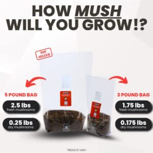 MushroomSupplies.com All in ONE Mushroom Grow Kit in-a-Bag (3 LBS) | Mushroom Grow Bag with Sterilized Grain and Substrate | Easy Grow Your Own Mushrooms