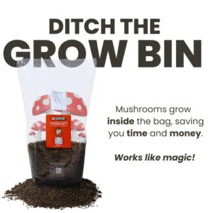 MushroomSupplies.com All in ONE Mushroom Grow Kit in-a-Bag (3 LBS) | Mushroom Grow Bag with Sterilized Grain and Substrate | Easy Grow Your Own Mushrooms