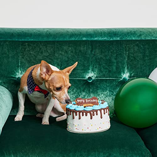 Thoughtfully Pets, Boy Dog Birthday Cookie Cake, Ginger Flavored, Blue 6 Inch Round Solid Biscuit Decorated as a Dog Birthday Cake with Frosting and Sprinkles