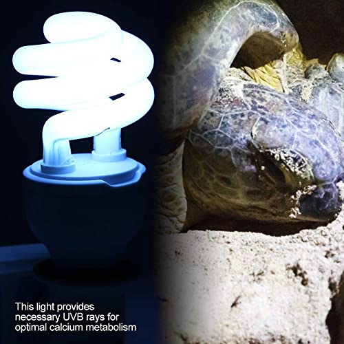 Dehydrator 2Pack Reptile Heat Lamp Light Bulb Reptile Light Spiral Compact Basking Spot Bulbs for Turtle Aquarium Aquatic Reptile Lizard