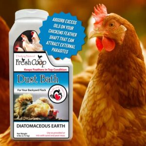 Absorbent Chicken Dust Bath for Backyard Chickens and Pets | 6 lb Container with Shaker Lid (2 pack)