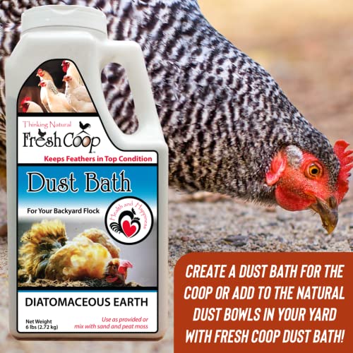 Absorbent Chicken Dust Bath for Backyard Chickens and Pets | 6 lb Container with Shaker Lid (2 pack)