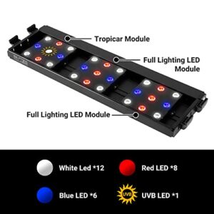 REPTI ZOO Dimming LED Aquarium Light Hood, LED UVB Reptile Light and LED Colorful Lights for Reptile Aquarium Tank Day and Night Use, 6 Flash Modes & Modular Plug Install