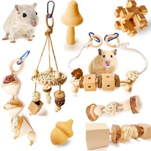 wepets hamster toys, for hamster, gerbils, mice, rats and other small animals to chew and play with, induce them to grind their teeth, reduce depression. (pattern-d)