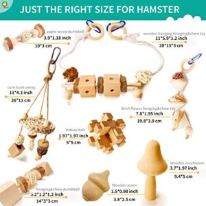 Wepets Hamster Toys, for Hamster, Gerbils, Mice, Rats and Other Small Animals to Chew and Play with, Induce Them to Grind Their Teeth, Reduce Depression. (Pattern-D)