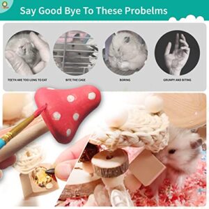 Wepets Hamster Toys, for Hamster, Gerbils, Mice, Rats and Other Small Animals to Chew and Play with, Induce Them to Grind Their Teeth, Reduce Depression. (Pattern-D)