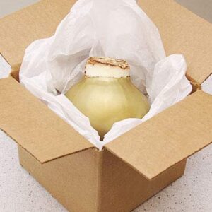 Gold Base Waxed Amaryllis White Intokazi Flower Bulb with Stand, No Water Needed