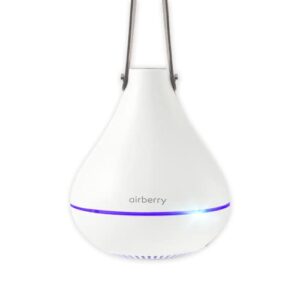 airberry new smart closet automatic management device, odor eliminator, electric air freshener for clothing, remove odors, wide scent, cozy scent, for closet, dress room (lavender, device)