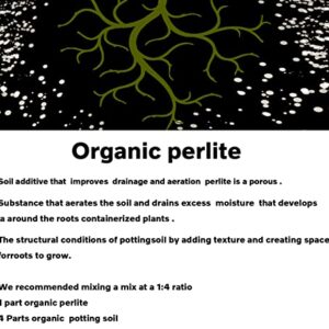 15 QT Professional Grade Horticultural Organic Perlite (15 QT, Perlite)