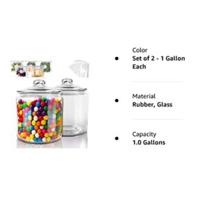 Masthome 1 Gallon Glass Storage Jars Set of 2,Airtight Cookie Jar for Flour Sugar Coffee,Clear Food Storage Canisters with Lids for Kitchen Counter Pantry Well Organization(15 pcs Food Storage Bag)