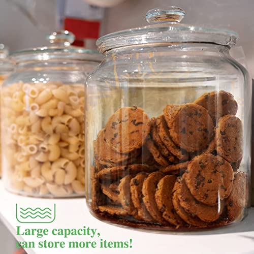 Masthome 1 Gallon Glass Storage Jars Set of 2,Airtight Cookie Jar for Flour Sugar Coffee,Clear Food Storage Canisters with Lids for Kitchen Counter Pantry Well Organization(15 pcs Food Storage Bag)