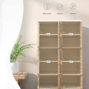 Benitaku Shoe Storage Organizer - Foldable Cabinet with Doors - Durable and Stable Storage Boxes - Stackable Shoe Rack Organizer for Home - Easy Installation- 20 layers