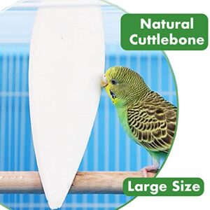 Mivofun 2 Pack Big Cuttlebones for Birds Parakeets Cockatiels African Greys All Parrots Tortoise Snails Animals, 6.3-6.5inch Large Cuttlefish Bones with Holder for Bird Cage