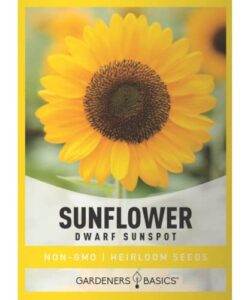 dwarf sunflower seeds for planting flowers - (yellow sunspot) is an open-pollinated, non-gmo sun flower variety- dwarf yellow sunflower seeds great for outdoor flower gardening by gardeners basics