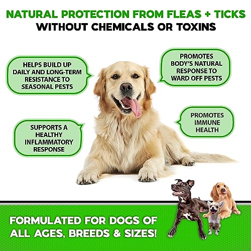 Flea and Tick Prevention for Dogs Chewables - Made in USA - Natural Flea and Tick Supplement for Chews - Oral Flea Pills - No Mess | No Collars - All Breeds and Ages - Tasty Soft Tablets