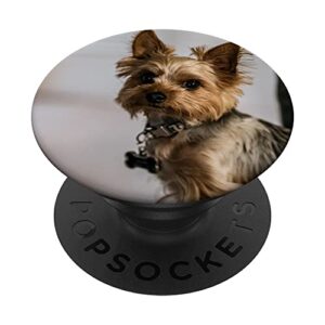 yorkshire terrier popsockets swappable popgrip