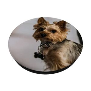 Yorkshire Terrier PopSockets Swappable PopGrip