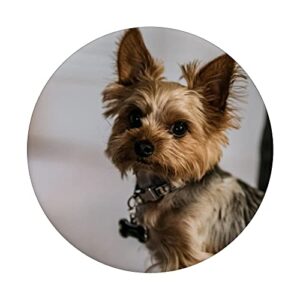 Yorkshire Terrier PopSockets Swappable PopGrip