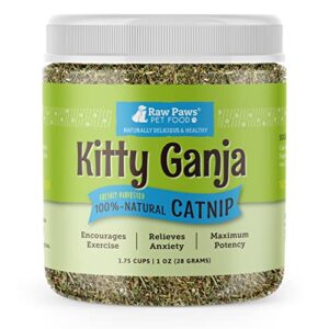 raw paws natural catnip for cats, 1-oz - use for refillable catnip toys for cats - catnip treats for cats - catnip for dogs - cat nip cat grass - dog catnip - dried catnip leaves & seeds