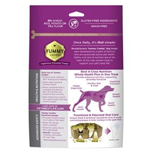 Yummy Combs Dog Dental Treats | Vet VOHC Approved | Protein Treat | Dental Care & Cleaning Comb Shape | Yummy Dog Treats | Dental Dog Treats for Small Dogs (12oz, 21 Count)