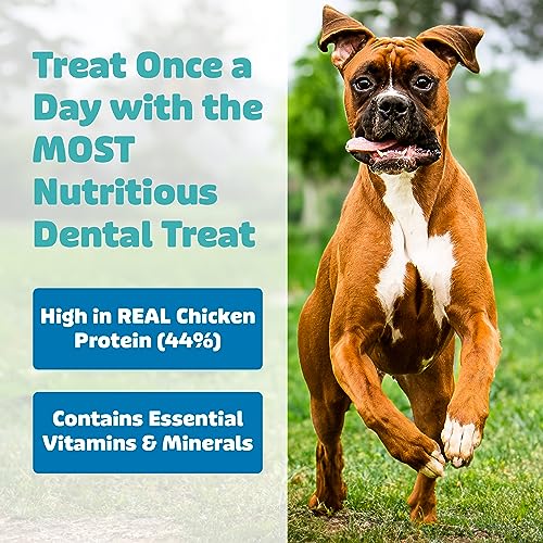 Yummy Combs Dog Dental Treats | Vet VOHC Approved | Protein Treat | Dental Care & Cleaning Comb Shape | Yummy Dog Treats | Dental Dog Treats for Small Dogs (12oz, 21 Count)