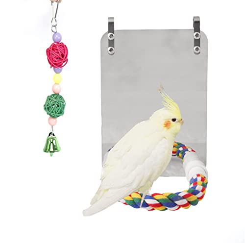 Tylu 6.6 inch Bird Mirror for Cage Parakeet Mirror with Rope Perch, Bird Cage Mirror Stand Swing Toys for Cockatiel Lovebirds Parrot Cockatoo Conures Finch Canaries, with ornaments