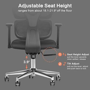 FelixKing Ergonomic Office Chair, Home Office Rolling Swivel Chair Mesh High Back Desk Chair with 3D Adjustable Armrest & Lumbar Support, Swivel Computer Chair with Headrest (Black)