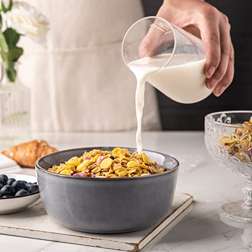 AmorArc Cereal Bowls Set of 6 for Kitchen, 26oz Stoneware Soup Bowls Set for Cereal,Soup, Modern Kitchen Bowls for Meal, Dishwasher &Microwave Safe, Reactive Glaze