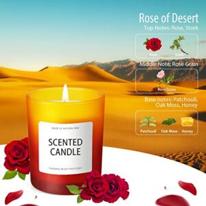 Scented Candles Set City of Stars, Endless Summer, Sunset Boulevard/Jar Candle Rose of Desert