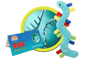 giantmicrobes rna plush - learn about the world of genetics with this educational gift, realistic model with info card, for family, friends, scientists, doctors, ancestry fans, students and educators