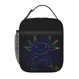 lunch bag stylized rainbow axolotl print insulated lunch box keep warm/cool lunch tote bag reusable portable lunch bags
