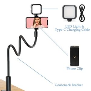 Phone Stand for Recording, 31 Inch Gooseneck Overhead Phone Mount with LED Light for Desk, 360° Rotation with Selfie Stands and Phone Holders for Video Recording, Live Streaming, YouTube Tiktok