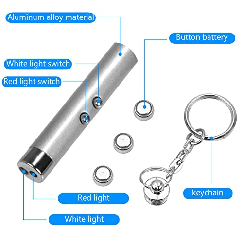 CHUQIANTONG 6PCS Cat Toy Mini Red Laser Pointer Cat Dog Interactive Training Tools White LED Torch Light with Keychain